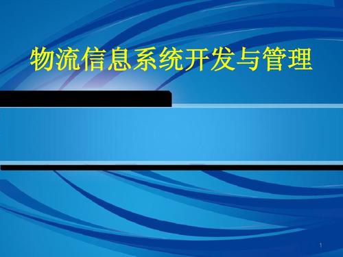 物流信息技术第十章 物流信息系统的开发与管理