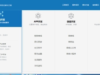 上海云洞科技,专业网站建设,手机软件开发,开发